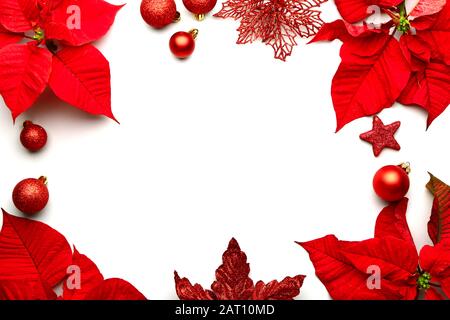 Beautiful Christmas composition with poinsettia on white background Stock Photo