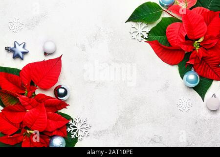 Beautiful Christmas composition with poinsettia on light background Stock Photo