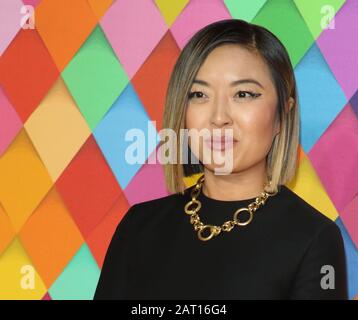 London, UK. 29th Jan, 2020. Cathy Yan at the World Premiere of 'Birds of Prey: And the Fantabulous Emancipation of One Harley Quinn' held at the Odeon BFI IMAX Waterloo Credit: SOPA Images Limited/Alamy Live News Stock Photo