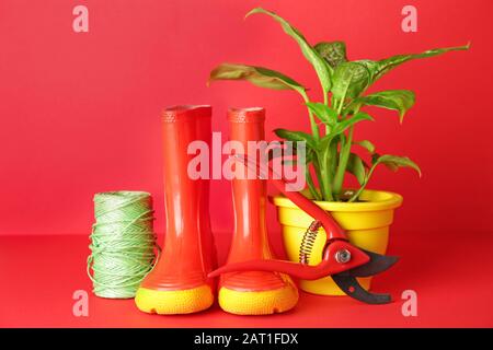 Set of gardening supplies on color background Stock Photo