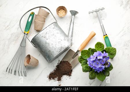 Set of gardening supplies on light background Stock Photo