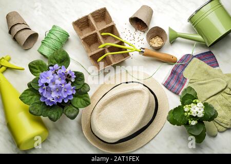 Set of gardening supplies on light background Stock Photo