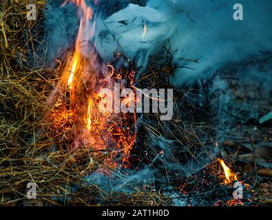 Fire In Forest Stock Photo