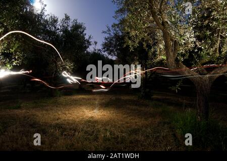 Beautiful colorful light painting composition  among the trees Stock Photo