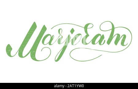 Vector hand written marjoram text isolated on white background. Kitchen healthy herbs and spices for cooking. Script brushpen lettering with flourishe Stock Vector