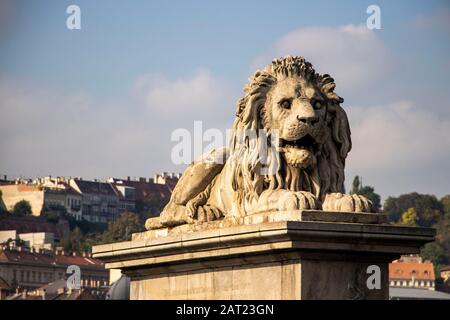 Lion Statues on Elisabeth Bridge in Budapest, Hungary Stock Photo