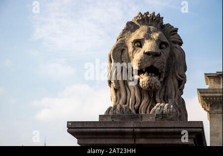 Lion Statues on Elisabeth Bridge in Budapest, Hungary Stock Photo