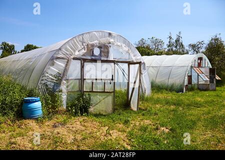 Old plastic greenhouses on an organic vegetable farm. Stock Photo