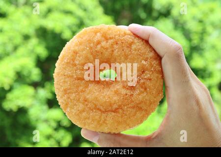Front View of Man's Hand Holding a Sugar Cinnamon Doughnut with Blurry Green Foliage in Background Stock Photo