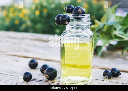 Black currant extract in a glass bottle. Medicinal tincture with black currant. Close-up. Stock Photo