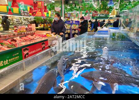 Beijing, China. 29th Jan, 2020. BEIJING, CHINA - JANUARY 29, 2020: Live fish for sale at a supermarket. An outbreak of pneumonia-like disease caused by a coronavirus was registered in Wuhan, a port city of 11 mln people, the administrative center of the Hubei province, in the end of December 2019. Now over 7 thousand people are infected, the death toll is 170. Roman Balandin/TASS Credit: ITAR-TASS News Agency/Alamy Live News