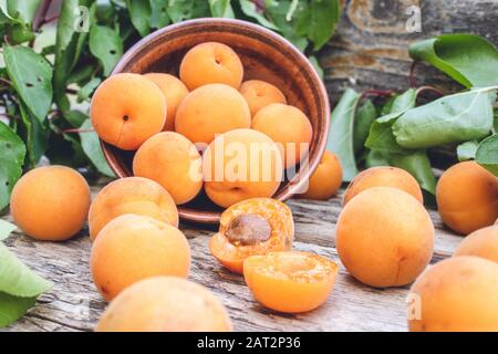 Delicious ripe apricots in a bowl next to green leaves on a wooden table. Close-up. Stock Photo