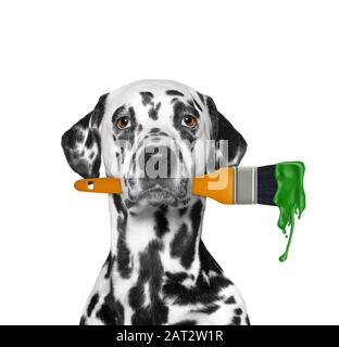Dalmatian dog as a painter with brush and green color. Isolated on white Stock Photo