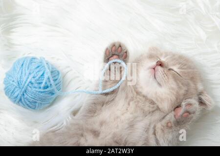 Little ginger kitten sleeps on a white carpet. Sleep. relaxation. Close-up Stock Photo
