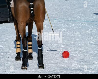 In game action of snow polo Stock Photo