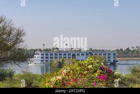 Large luxury traditional Egyptian river cruise boat sailing on the Nile with bougainvillea bush in foreground Stock Photo