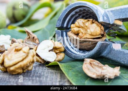 Walnuts and walnut kernels lie on a rustic old wooden table near the nutcracker. Kernels of walnuts. Harvest walnuts. Stock Photo
