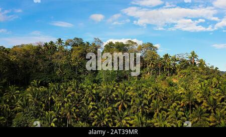 Beautiful mountain landscape with a jungle in sunny weather. Summer and travel vacation concept. clouds over the mountain peaks. Evergreen forest on a tropical island. Stock Photo