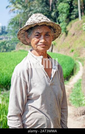 Indonesia, Bali, Tegalalang Rice Terraces, Woman working in the fields Stock Photo
