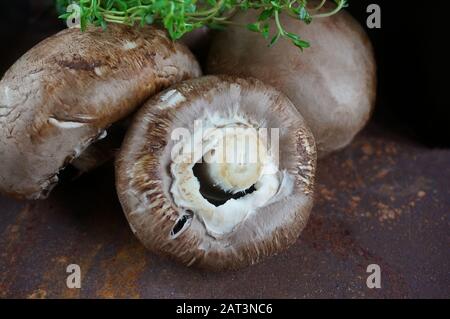 Portobello mushrooms with thyme lie on a beautiful background. The best alternative for a meat Burger. Close up. Selective focus. Copy space. Stock Photo