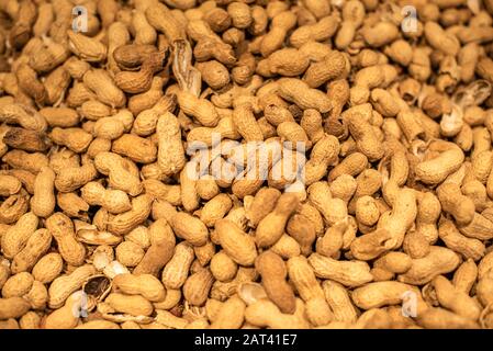 Peanut, groundnut, monkey nut, nut, golden brown colour seeds pods ...