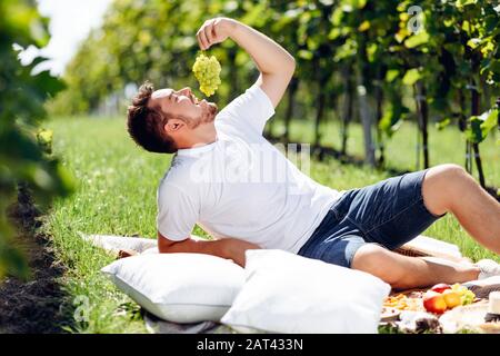 Handsome young brunette eating grapes at picnic in vineyard Stock Photo