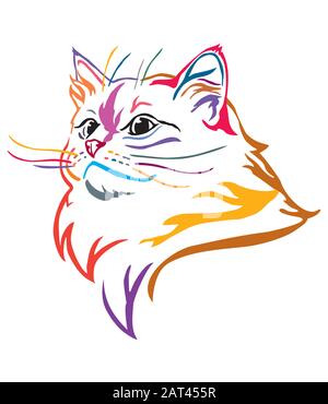 Colorful decorative portrait of Ragdoll cat, contour vector illustration in different colors isolated on white background. Image for design and tattoo Stock Vector