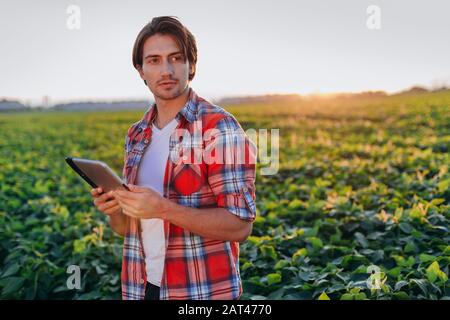 Portrait of agronomist standing in field holding a tablet . -Image Stock Photo