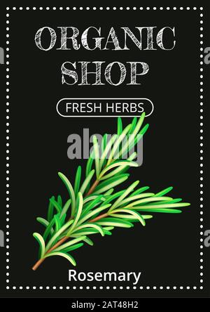 Vertical banner with a realistic rosemary on coated chalk background. Fresh herbs, popular culinary plants, natural health care. Template for products Stock Vector