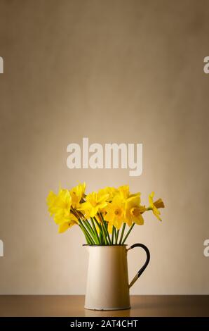 A sunlit bunch of daffodils in a vintage enamel jug on a wood veneer table against parchment coloured wallpaper. Copy space above. Stock Photo