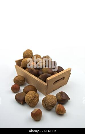 Walnuts, hazelnuts, chestnuts in a traditional box on a gray to white gradient background and with space at the top to add texts Stock Photo
