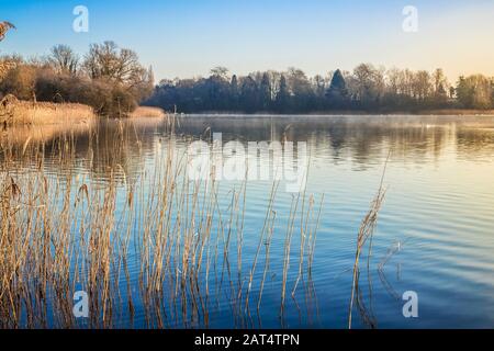 A cold, early morning in winter at Coate Water in Swindon. Stock Photo