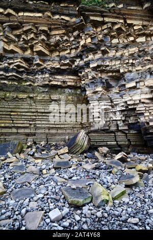 Blue Lias limestone and shale rock strata in cliffs at Lavernock Point, South Glamorgan, Wales, UK Stock Photo