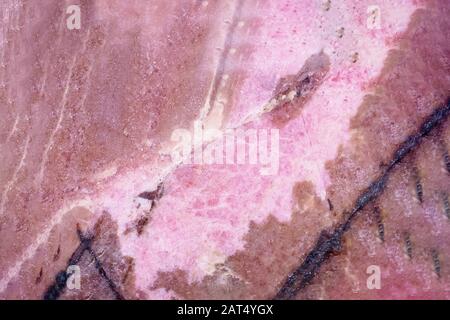 Macro shooting of natural mineral stone. Natural pink brown rhodonite with black veins Stock Photo