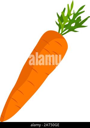 Crunchy carrot vector icon on white background. Stock Vector