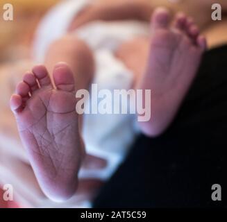 Pies De Bebe Recien Nacido Stock Photo Alamy