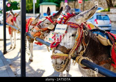 Donkey taxi landmark in Mijas village. Lot of donkey taxis waiting for tourists to come and ride them through the village. Costa del Sol, Spain Stock Photo