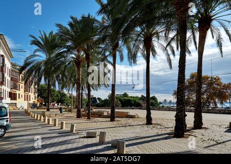 Sunny coastal palm lined street empty promenade leading along Mediterranean Sea, Palma de Mallorca, Baleares, Spain Stock Photo