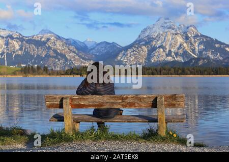 A woman sits on a bench and enjoys the view over the Hopfensee and the Bavarian Alps. Stock Photo