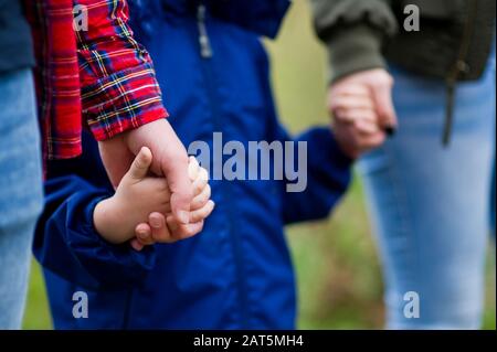 Parents hold their hands. Close-up, without faces. Focus on the hands Stock Photo