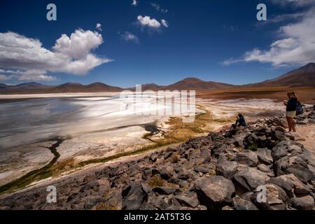 Salar de Talar Lake as seen from Aguas Calientes viewpoint, Ruta 23, Atacama Desert, Antofagasta, Chile Stock Photo