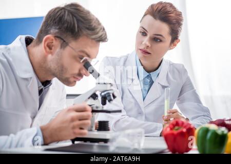 selective focus of molecular nutritionist holding test tube and looking at his colleague with microscope Stock Photo