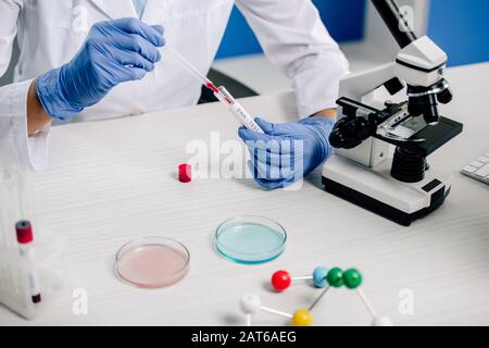cropped view of genetic consultant doing dna test in lab Stock Photo