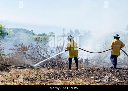 Two Firemen Holding Hose With High Power Water Flow Stock Photo