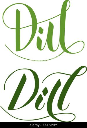 Vector hand written dill text isolated on white background. Kitchen healthy herbs and spices for cooking. Script brushpen lettering with flourishes. H Stock Vector