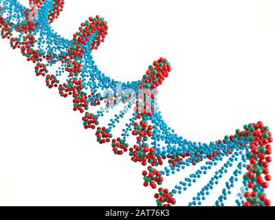 DNA structure model on white Stock Photo - Alamy