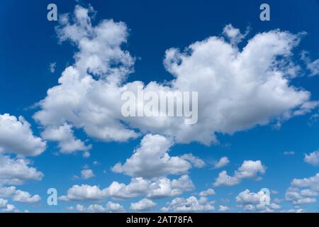 Fluffy white clouds against a deep blue sky