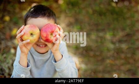 portrait of girl eating red organic apple outdoor. Harvest Concept. Child picking apples on farm in autumn. Children and Ecology. Healthy nutrition Ga Stock Photo