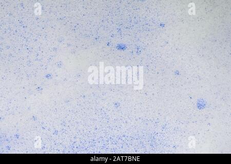 Texture of blue foam with bubbles Stock Photo