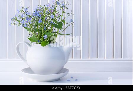 White teapot and blue forget-me-not flowers, white vintage background. Romantic spring composition. Copy space. Close up. Stock Photo